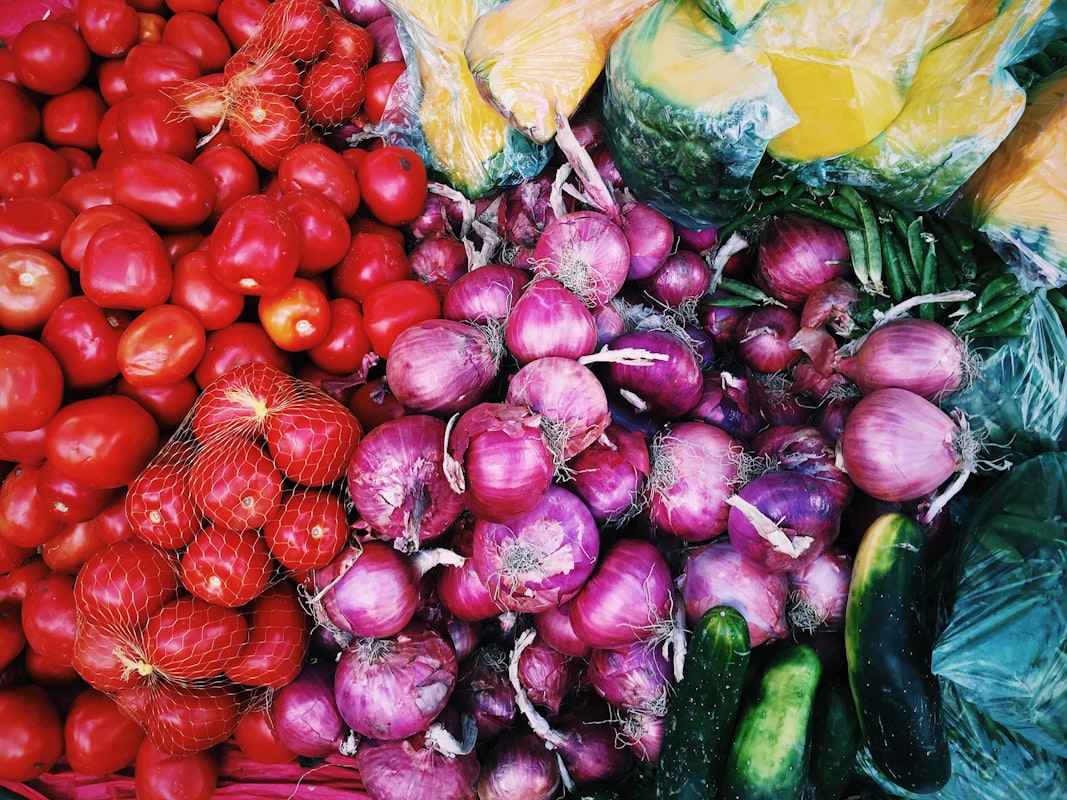 Tomatoes and courgettes during growing season